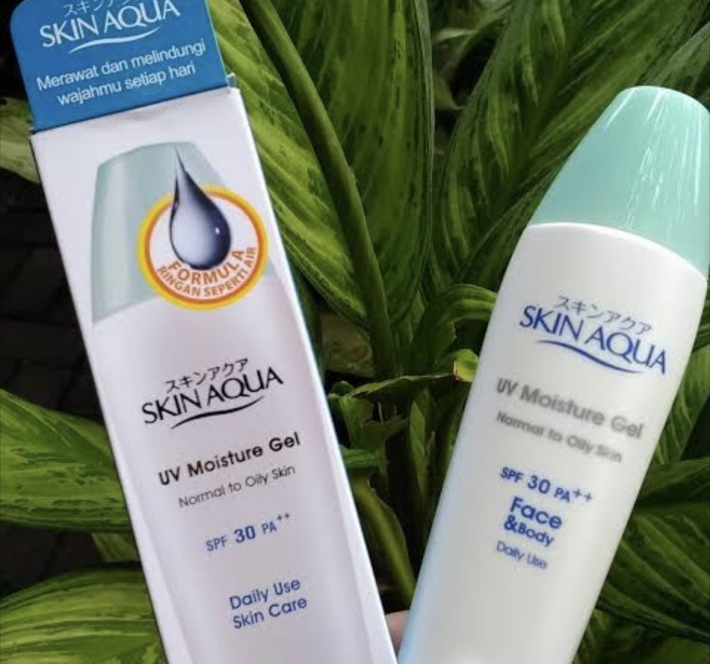 Ingredients Sunscreen Skin Aqua S 30