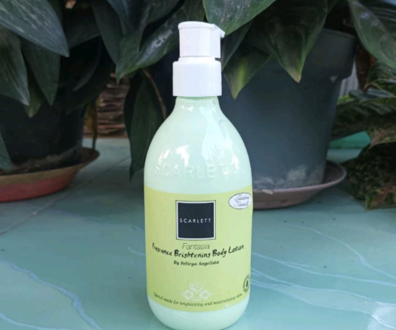 Handbody Scarlet Paling Wangi Warna Apa