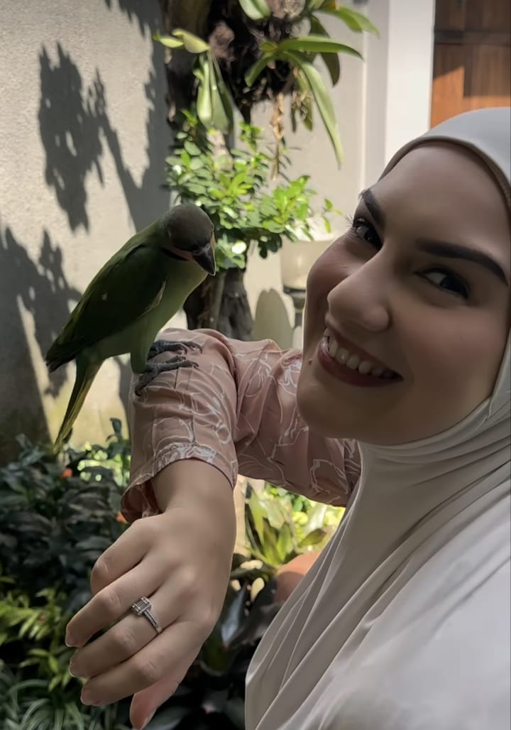 Irish Bella Merawat Kebunnya