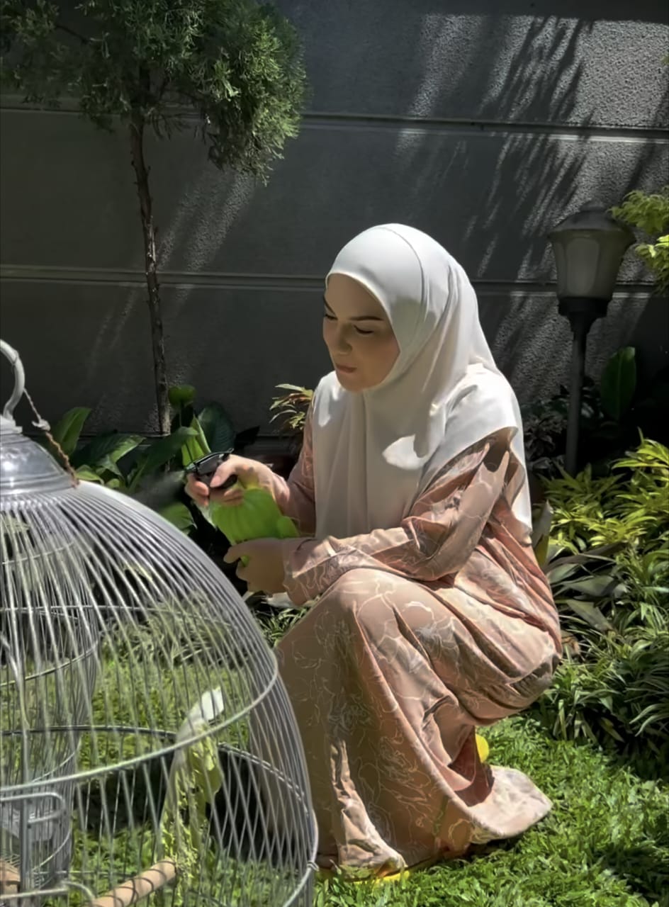 Irish Bella Merawat Kebunnya