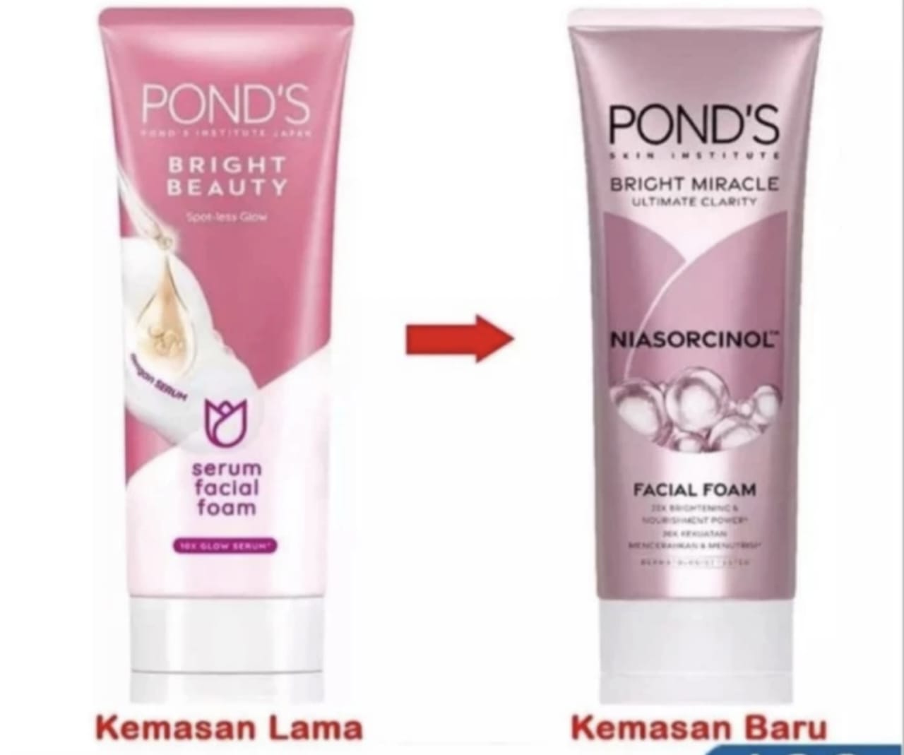 Ponds WB Perfect Cream Normal