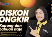 SNG Cargo: Mengirim Barang Antar Pulau dengan Mudah dan Terpercaya