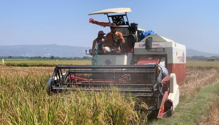 Farm Field Day: Sekolah Bagi Petani Bojonegoro, Produksi Terus Meningkat
