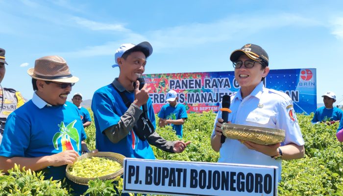Bojonegoro Kembangkan Budi Daya Cabai Berbasis Kawasan dengan Menggandeng BRIN