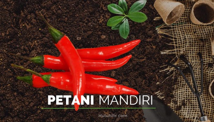 Petani Mandiri di Lingkar Ladang Migas